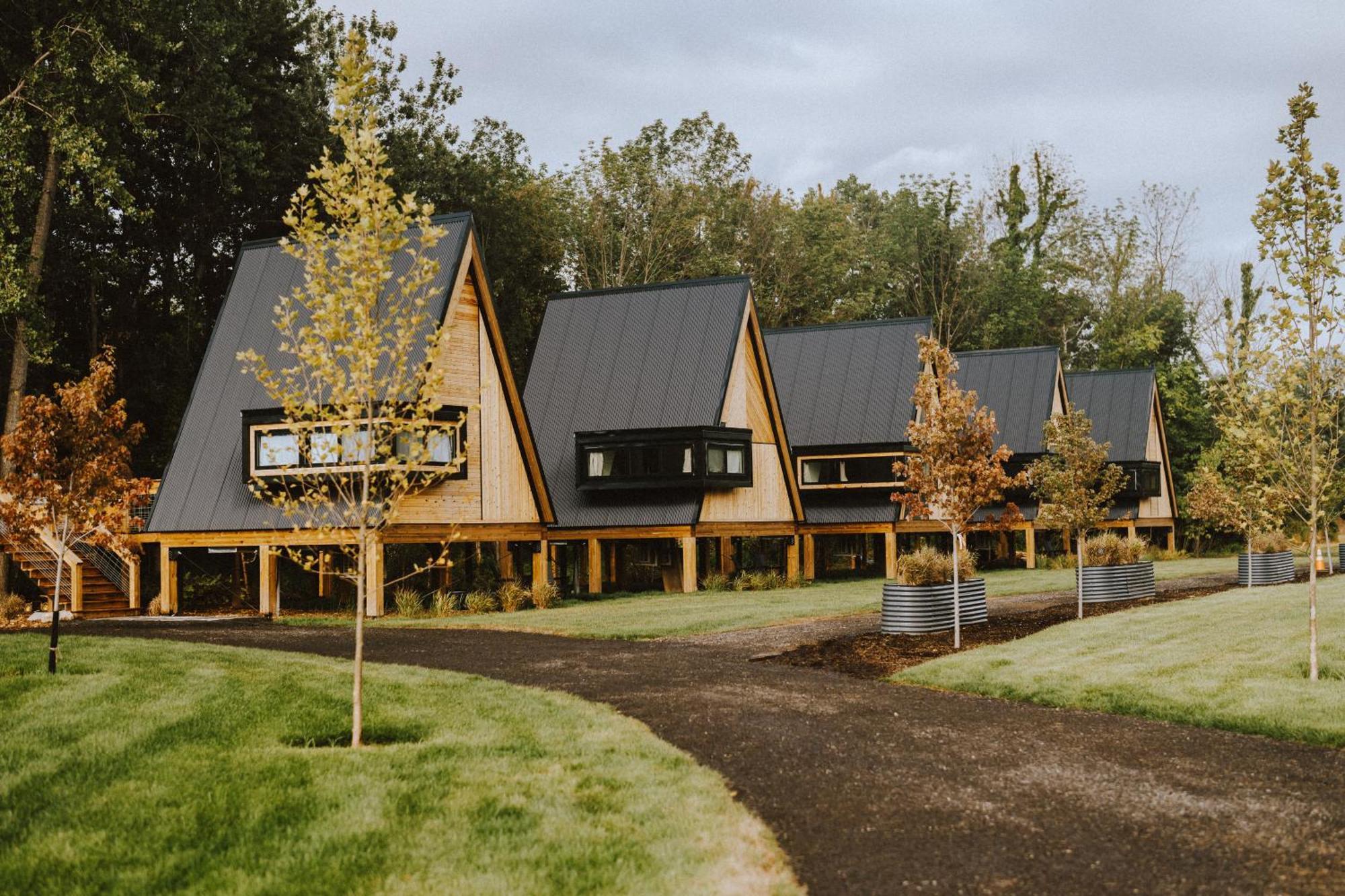 Finger Lakes Treehouse Содус Екстер'єр фото