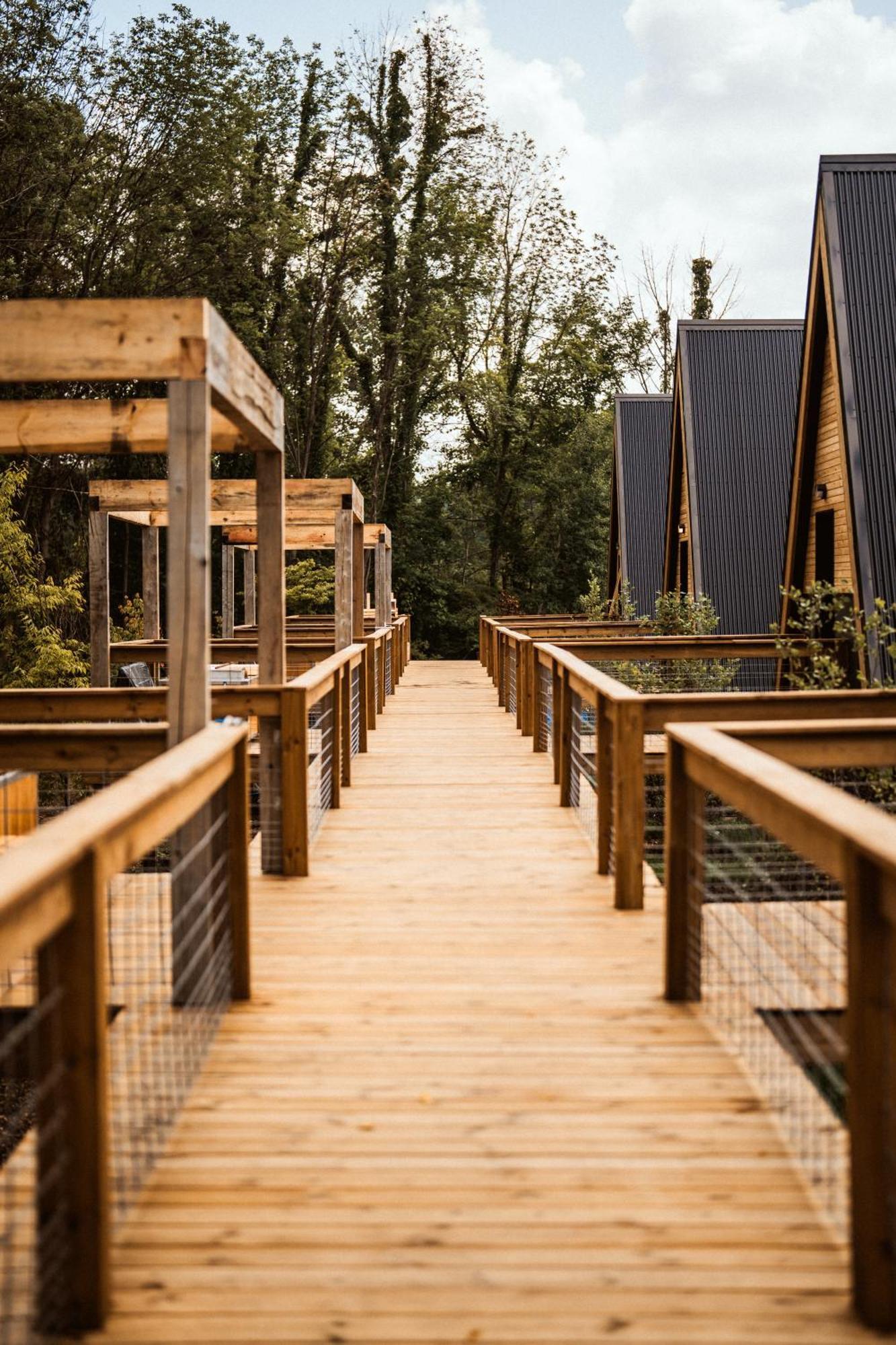 Finger Lakes Treehouse Содус Екстер'єр фото